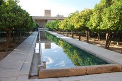 iran2075