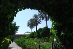 iran2162