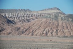 iran2501