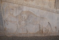 iran4043