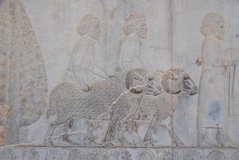 iran4049