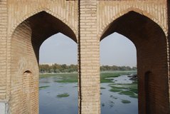 iran6185