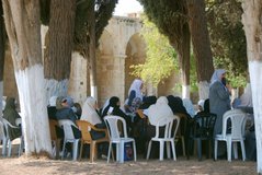 israel2310