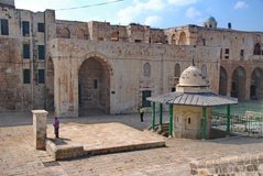 israel2319