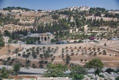 israel2328