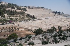 israel2329