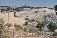 israel2501