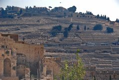 israel2502