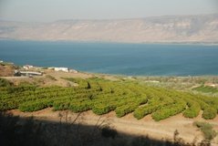 israel4002