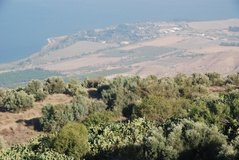 israel4005
