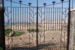 israel4112