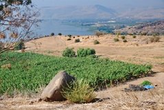 israel4114