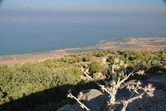 israel4117