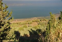 israel4118