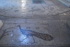 israel4127