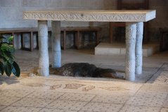israel4131