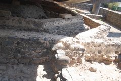 israel4218