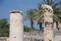 israel4517