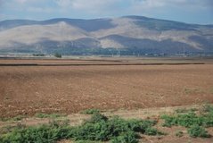 israel4803