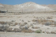 israel4810