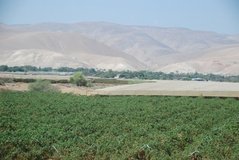 israel4811
