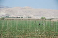 israel4812