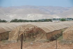 israel4813