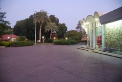 israel4826
