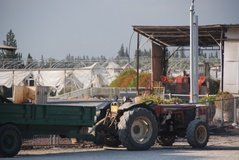 israel4827