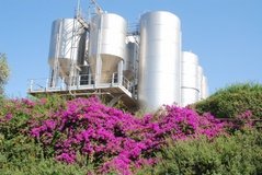 israel4851