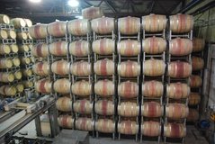 israel4853