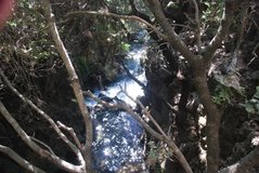 israel4856