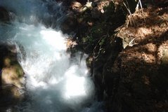 israel4858