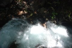 israel4859