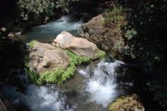 israel4861
