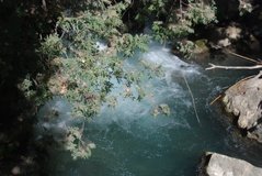israel4862