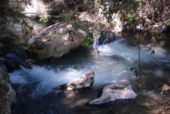 israel4863