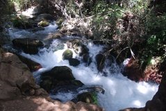 israel4864
