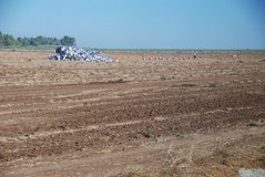israel4872