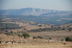 israel4874