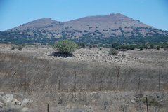 israel4875