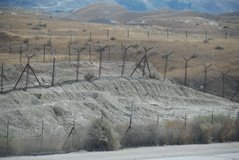 israel4884