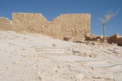 israel6110