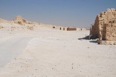 israel6113