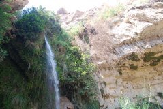 israel6162
