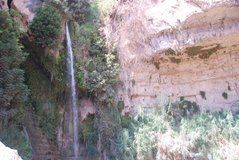 israel6163