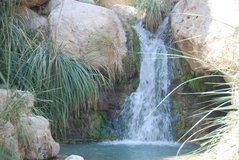 israel6164