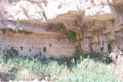 israel6166