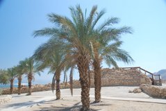 israel6174