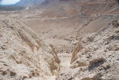 israel6194